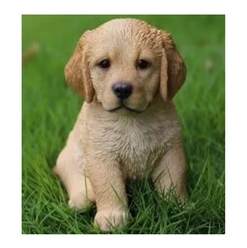 aplaceforfido662962