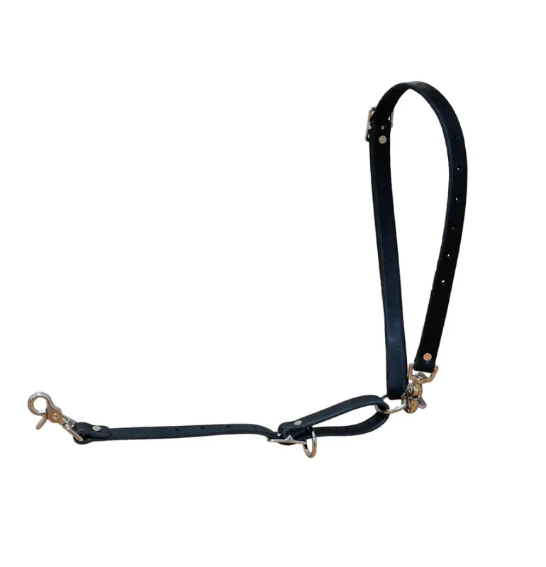 beltfedkennelsupply653151
