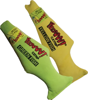 buffalobarkery654368