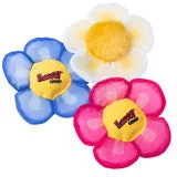 buffalobarkery658440
