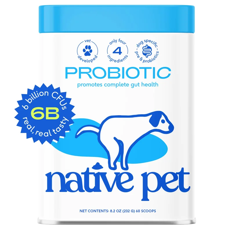 elevatepetboutique645492
