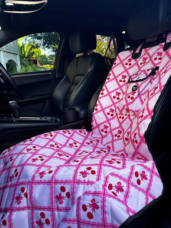 elevatepetboutique646069