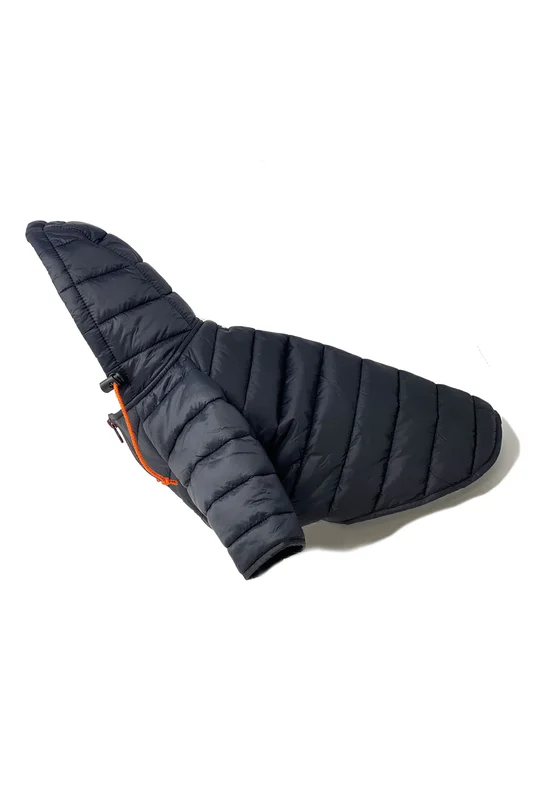 elevatepetboutique646202