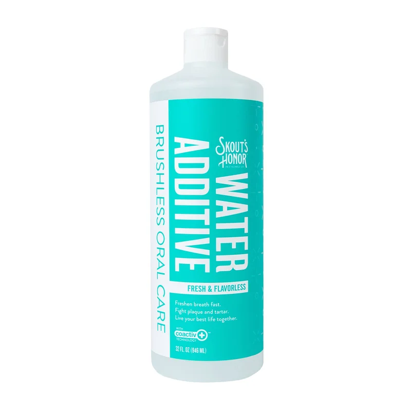 elevatepetboutique646349