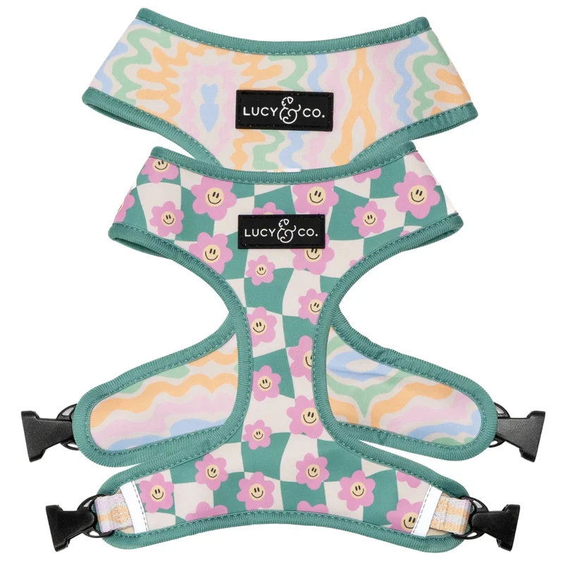 elevatepetboutique647191