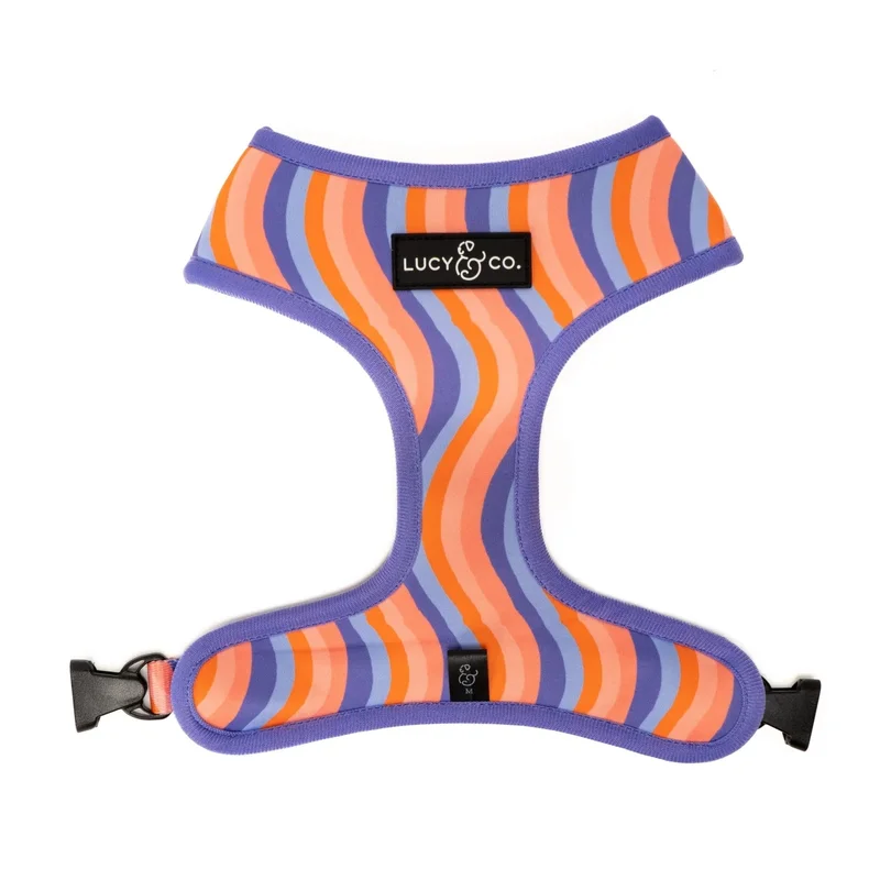 elevatepetboutique647201