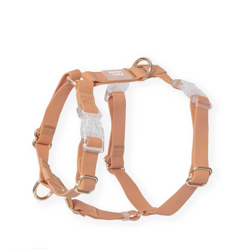 elevatepetboutique654041