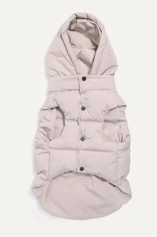 elevatepetboutique658924