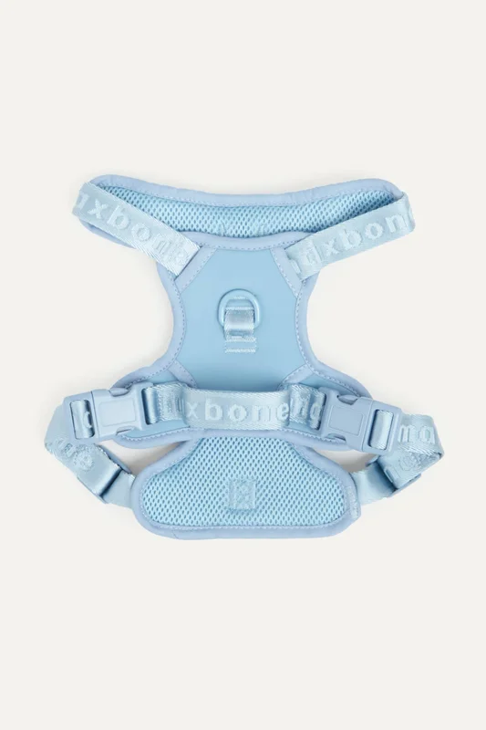 elevatepetboutique659006