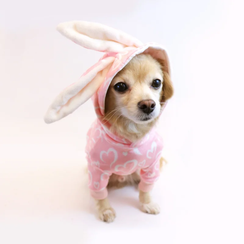 lechienbleuny657256