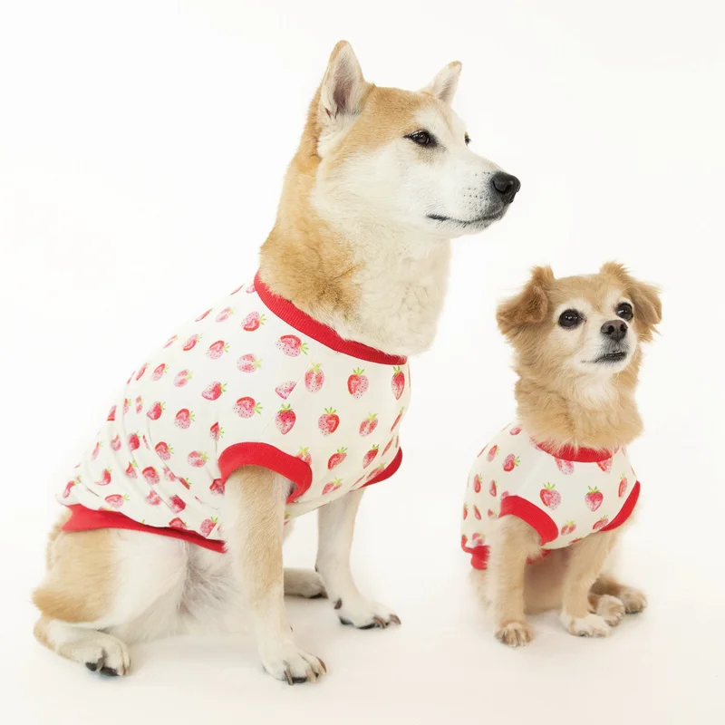 lechienbleuny657500