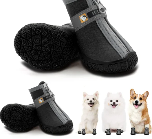 lechienbleuny659007