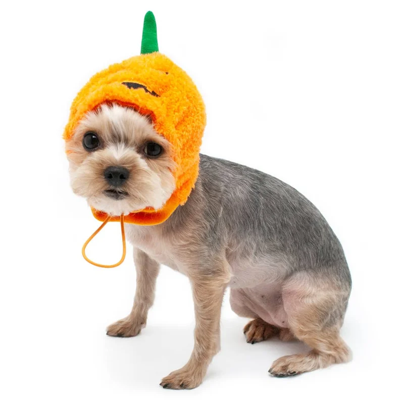 lechienbleuny664255