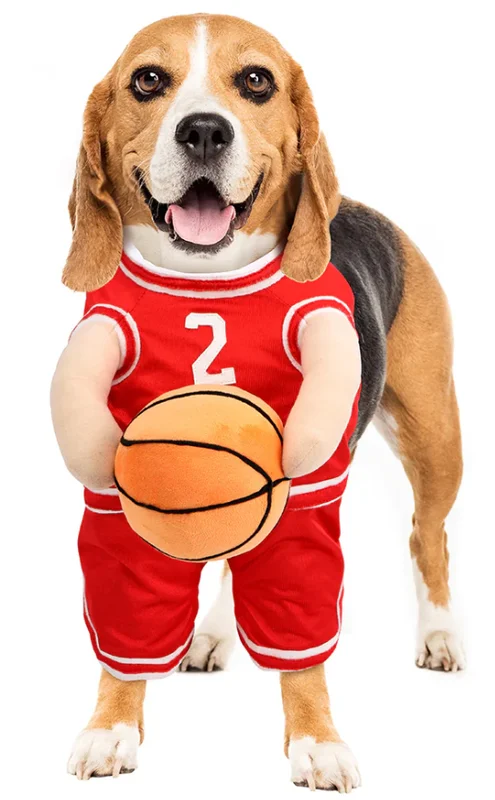 lechienbleuny664391