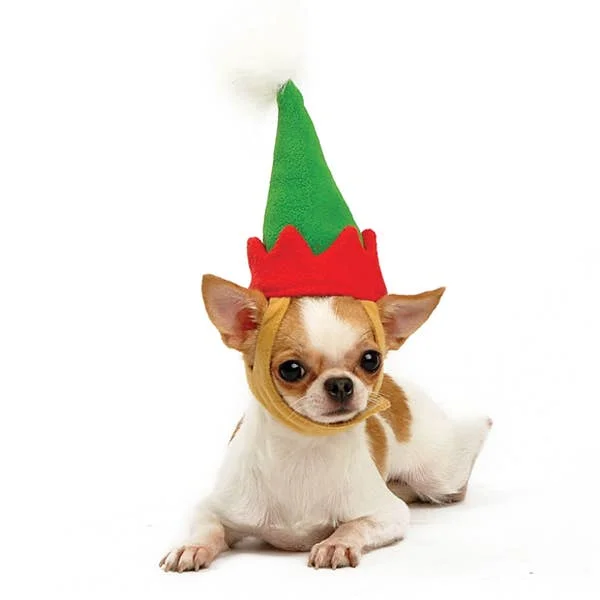 lechienbleuny665128