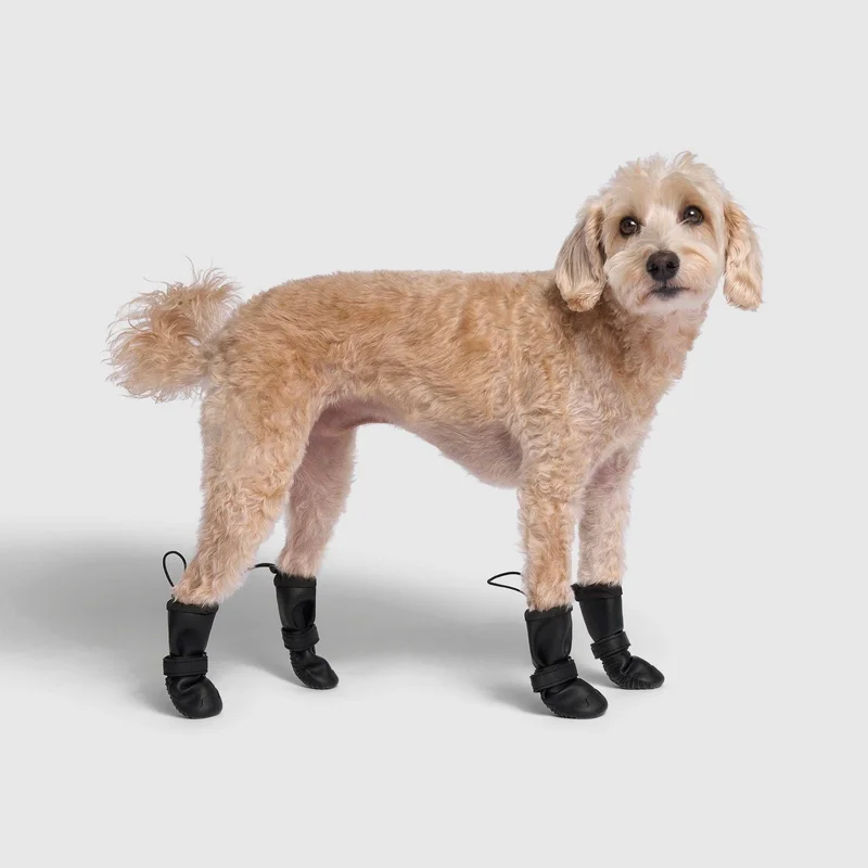 lechienbleuny665228