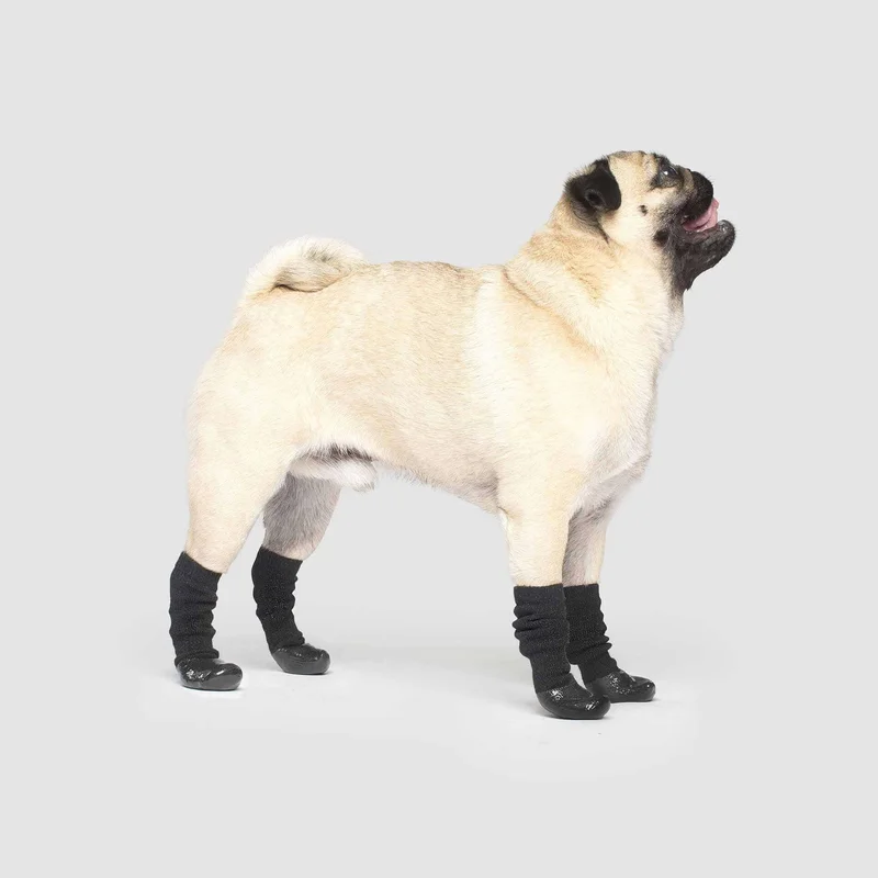 lechienbleuny665232