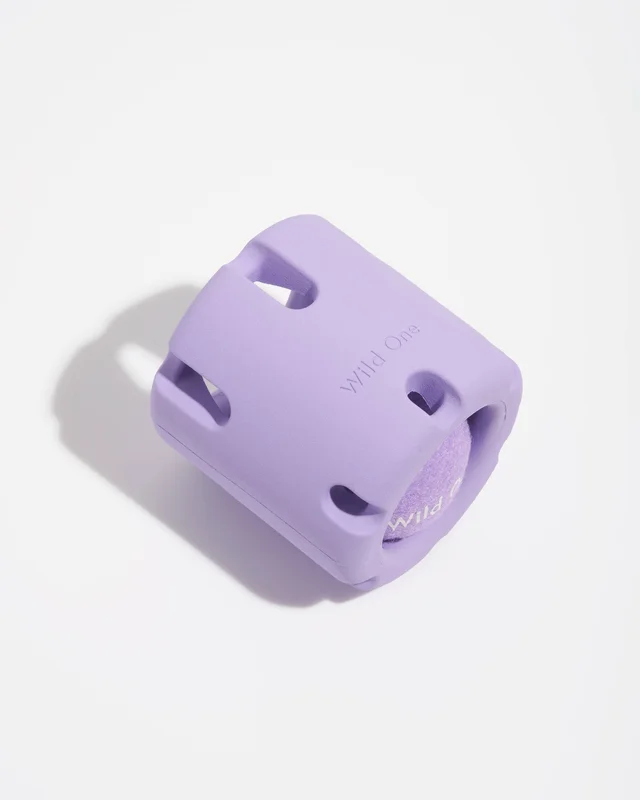 lechienbleuny667508