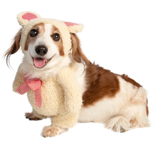 lechienbleuny667810