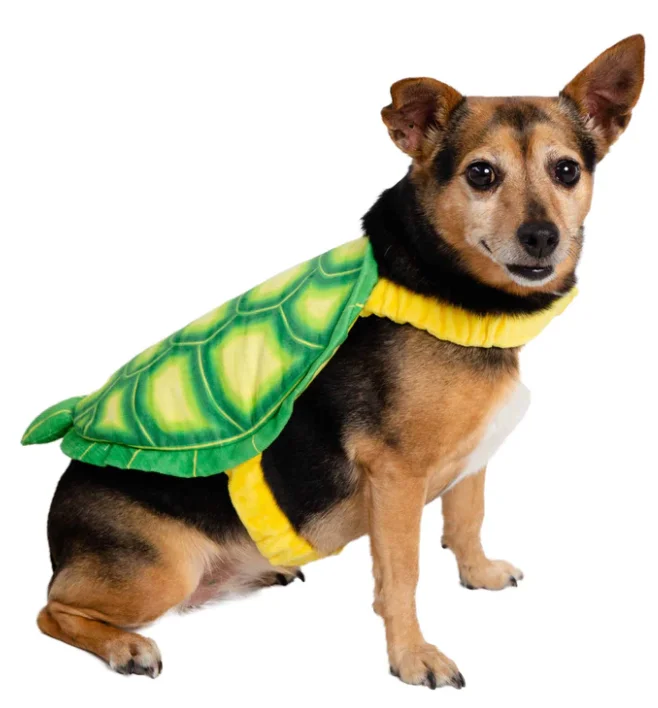lechienbleuny667821