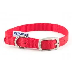 pawspets656501