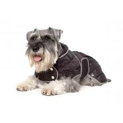 pawspets657526