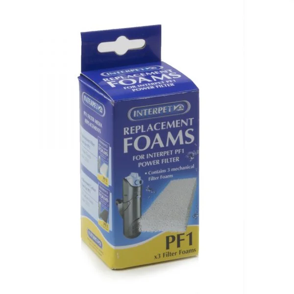 pawspets658488