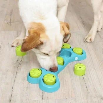 pawspets663589