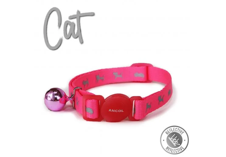 pawspets667161