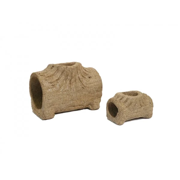 pawspets667488
