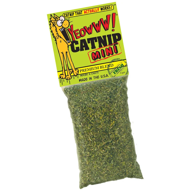 pawspets667800