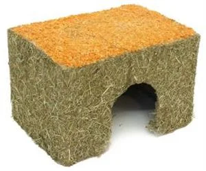 pawspets667955