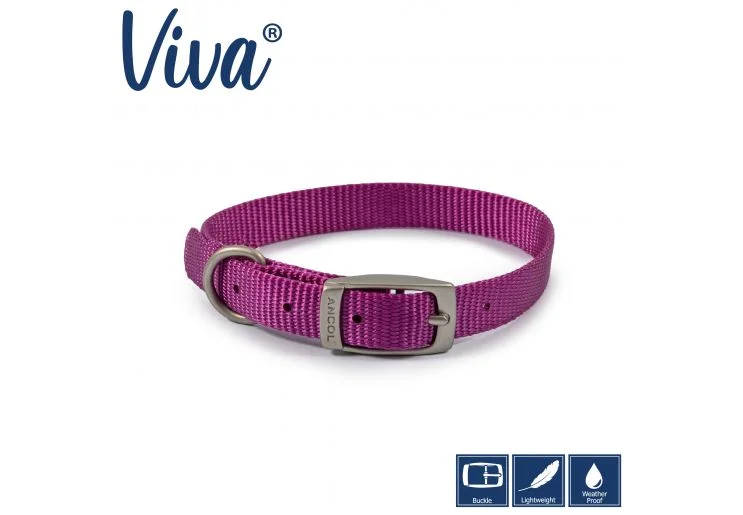 pawspets668667