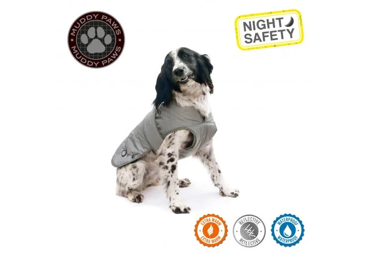 pawspets669034