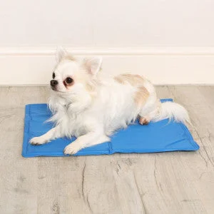pawspets669648