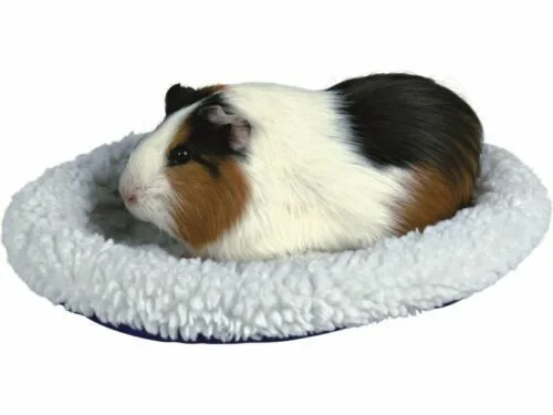 pawspets669860