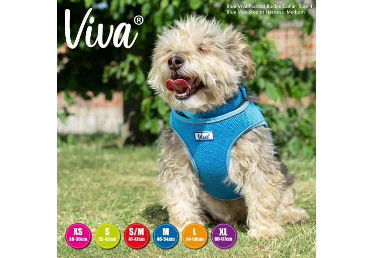 pawspets670254
