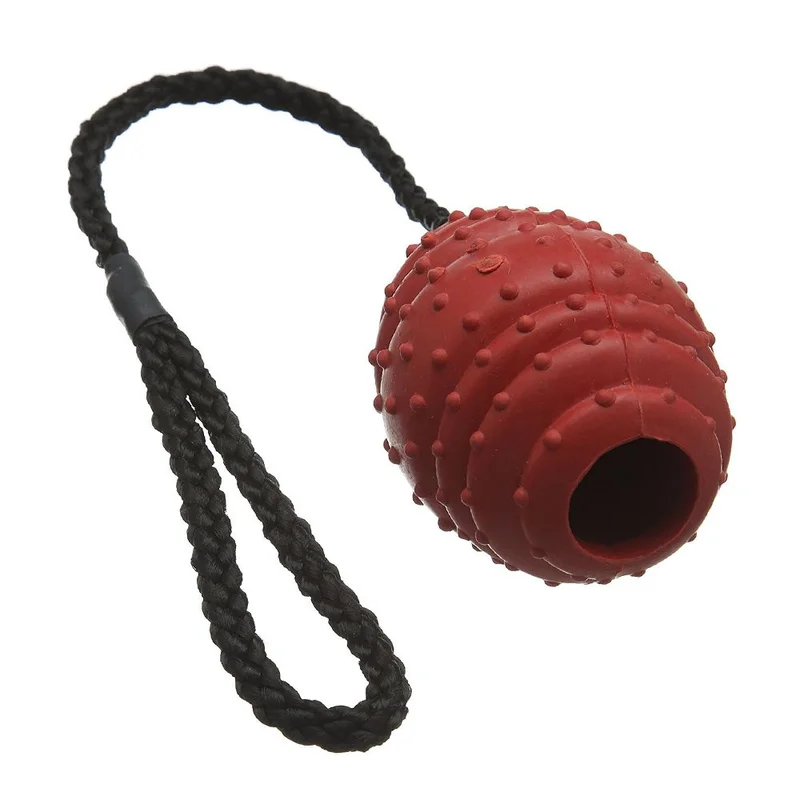 pawspets670603