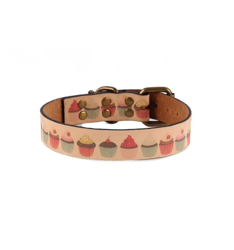 pawspets670917