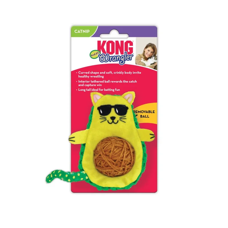 pawspets671178