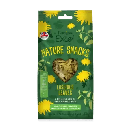 pawspets671316