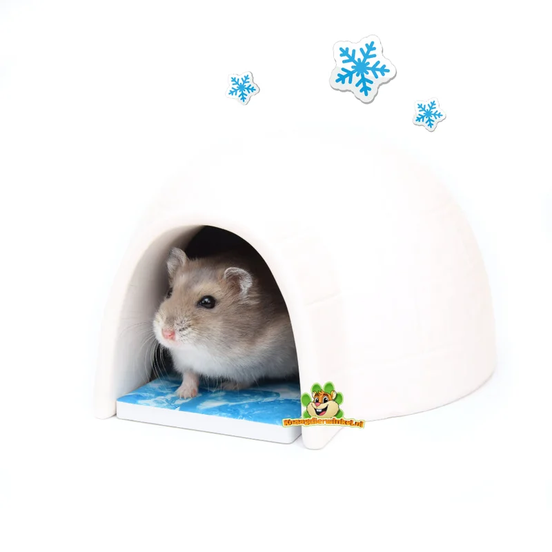 pawspets671619