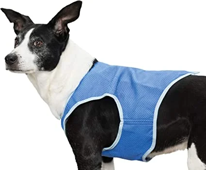 pawspets671622