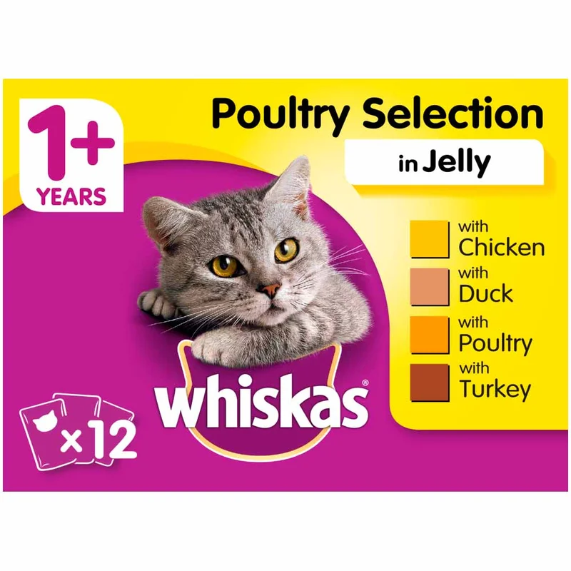 pawspets671675