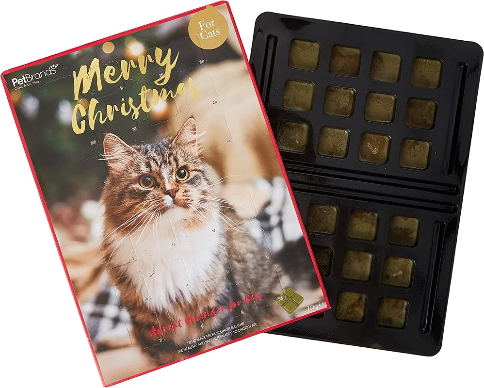 pawspets671905
