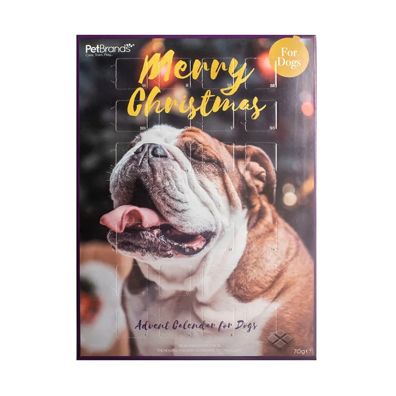 pawspets671908