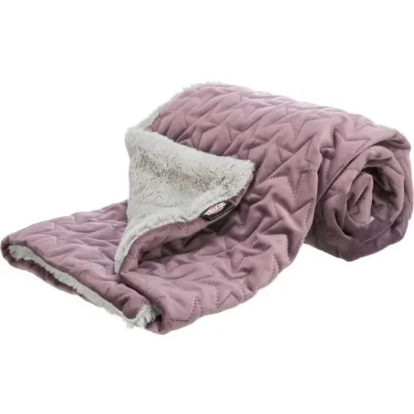 pawspets672041