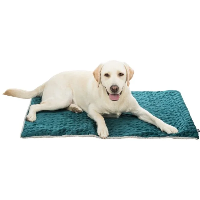 pawspets672044