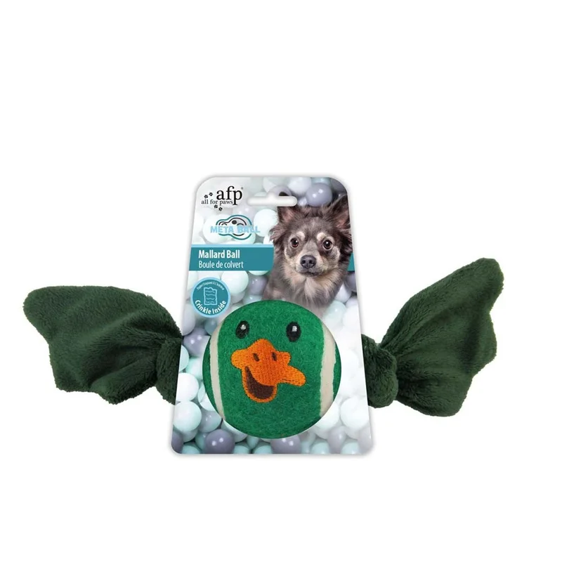 pawspets673263