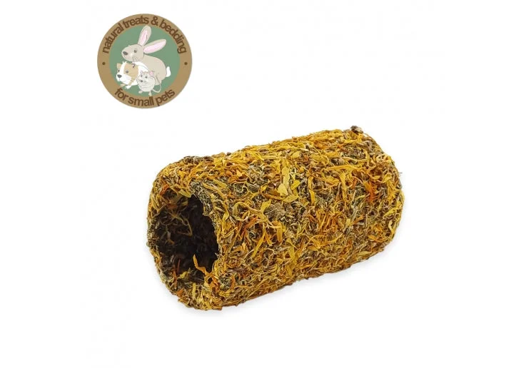 pawspets673304
